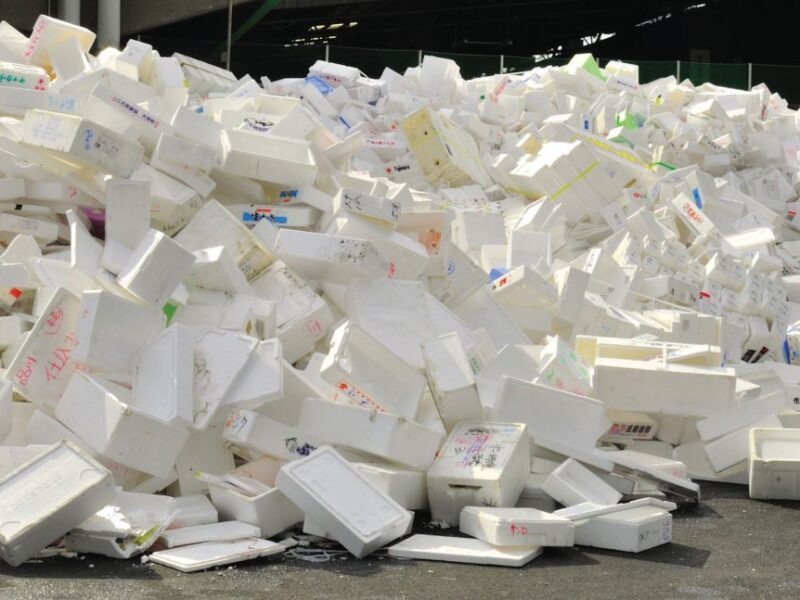 The fight to replace polystyrene packaging